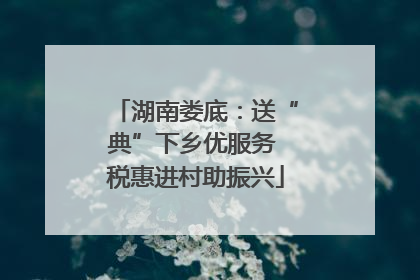 湖南娄底：送“典”下乡优服务 税惠进村助振兴