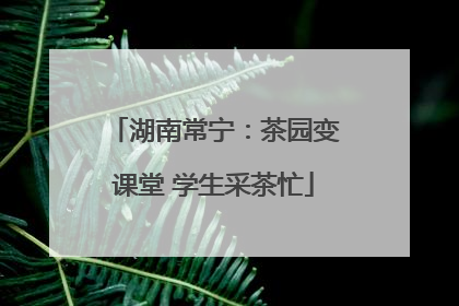 湖南常宁：茶园变课堂 学生采茶忙