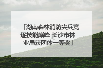 湖南森林消防尖兵竞逐技能巅峰 长沙市林业局获团体一等奖