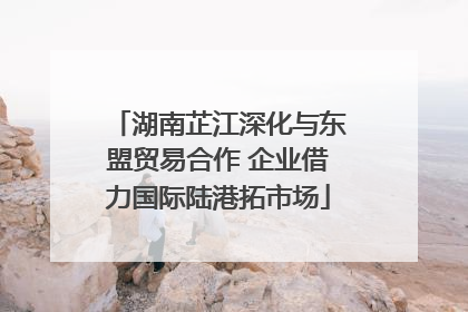 湖南芷江深化与东盟贸易合作 企业借力国际陆港拓市场