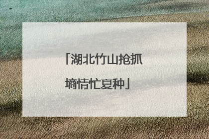 湖北竹山抢抓墒情忙夏种