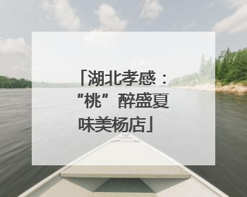 湖北孝感：“桃”醉盛夏 味美杨店