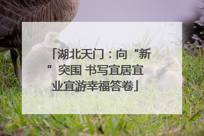 湖北天门：向“新”突围 书写宜居宜业宜游幸福答卷
