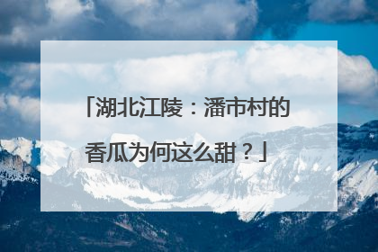 湖北江陵：潘市村的香瓜为何这么甜？