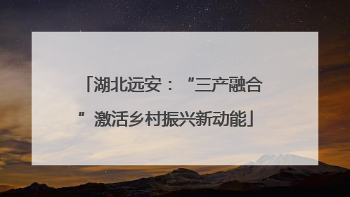 湖北远安：“三产融合”激活乡村振兴新动能
