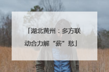 湖北黄州：多方联动合力解“薪”愁