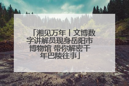 湘见万年丨文博数字讲解员现身岳阳市博物馆 带你解密千年巴陵往事