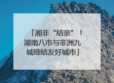 湘非“结亲”！湖南八市与非洲九城缔结友好城市