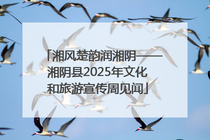 湘风楚韵润湘阴——湘阴县2025年文化和旅游宣传周见闻