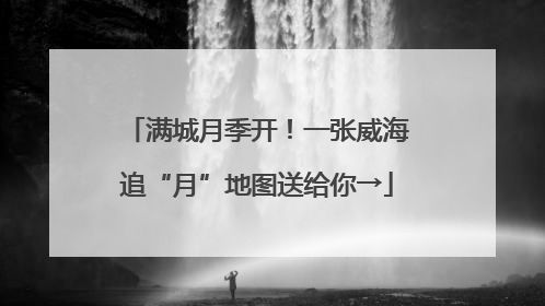 满城月季开！一张威海追“月”地图送给你→