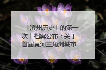滨州历史上的第一次｜档案公布：关于首届黄河三角洲城市经济博览会暨发展论坛情况的总结报告