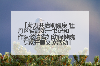 菏力共治助健康 牡丹区省派第一书记和工作队邀请省妇幼保健院专家开展义诊活动
