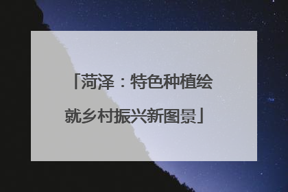 菏泽：特色种植绘就乡村振兴新图景