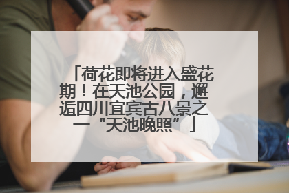 荷花即将进入盛花期！在天池公园，邂逅四川宜宾古八景之一“天池晚照”
