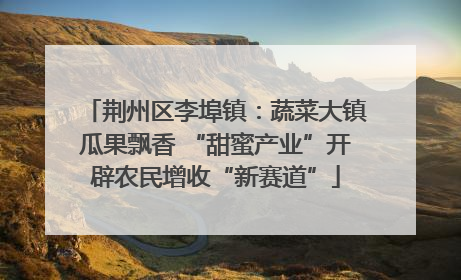 荆州区李埠镇：蔬菜大镇瓜果飘香 “甜蜜产业”开辟农民增收“新赛道”