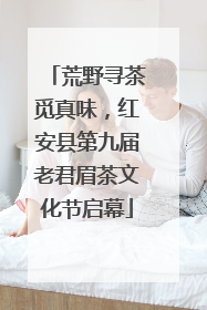 荒野寻茶觅真味，红安县第九届老君眉茶文化节启幕