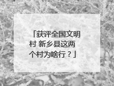 获评全国文明村 新乡县这两个村为啥行？