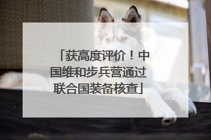 获高度评价！中国维和步兵营通过联合国装备核查