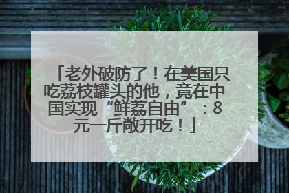 老外破防了！在美国只吃荔枝罐头的他，竟在中国实现“鲜荔自由”：8元一斤敞开吃！