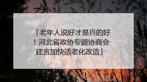 老年人说好才是真的好！河北省政协专题协商会建言加快适老化改造