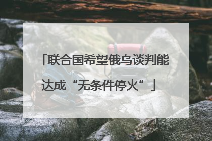 联合国希望俄乌谈判能达成“无条件停火”