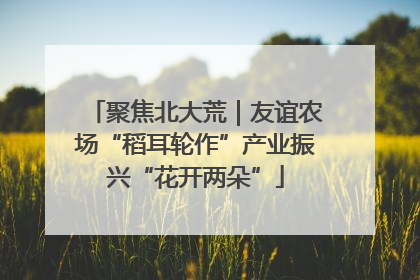 聚焦北大荒｜友谊农场“稻耳轮作”产业振兴“花开两朵”