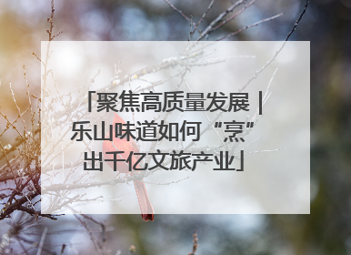 聚焦高质量发展｜乐山味道如何“烹”出千亿文旅产业