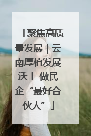 聚焦高质量发展｜云南厚植发展沃土 做民企“最好合伙人”
