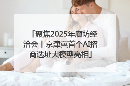 聚焦2025年廊坊经洽会丨京津冀首个AI招商选址大模型亮相