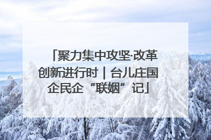 聚力集中攻坚·改革创新进行时｜台儿庄国企民企“联姻”记