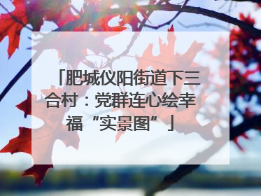肥城仪阳街道下三合村：党群连心绘幸福“实景图”