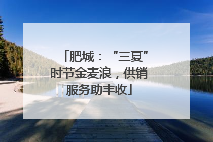 肥城：“三夏”时节金麦浪，供销服务助丰收