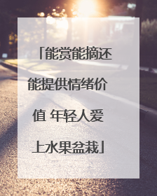 能赏能摘还能提供情绪价值 年轻人爱上水果盆栽
