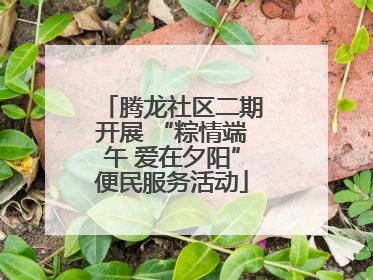腾龙社区二期开展 “粽情端午 爱在夕阳”便民服务活动
