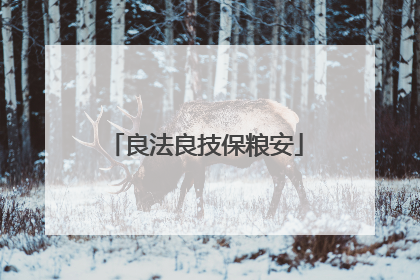 良法良技保粮安