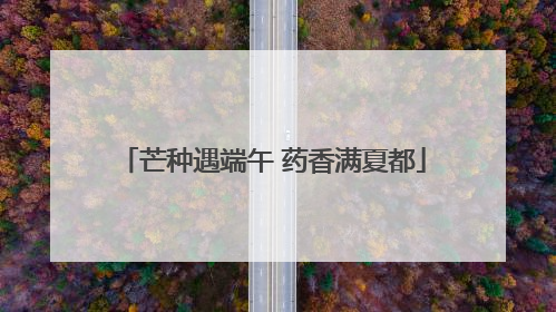 芒种遇端午 药香满夏都