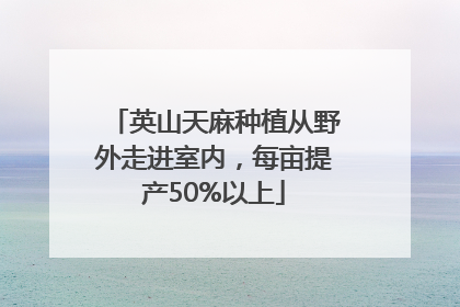 英山天麻种植从野外走进室内，每亩提产50%以上