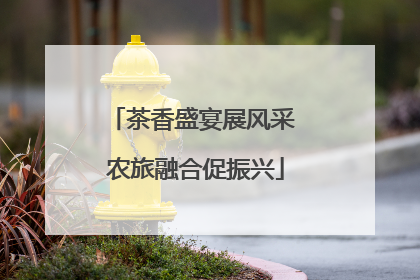 茶香盛宴展风采 农旅融合促振兴