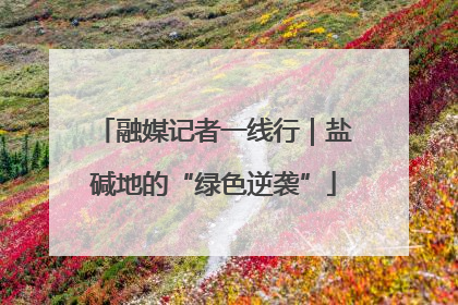 融媒记者一线行｜盐碱地的“绿色逆袭”