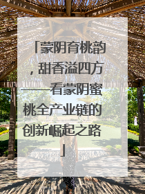 蒙阴育桃韵，甜香溢四方——看蒙阴蜜桃全产业链的创新崛起之路