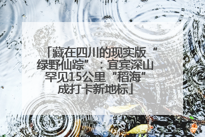 藏在四川的现实版“绿野仙踪”：宜宾深山罕见15公里“稻海”成打卡新地标