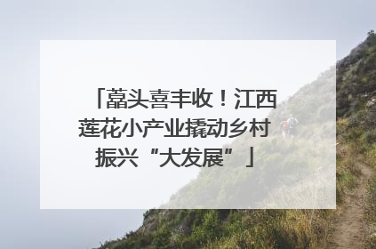 藠头喜丰收！江西莲花小产业撬动乡村振兴“大发展”