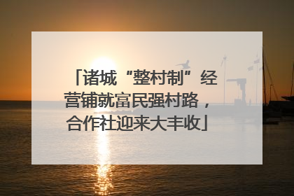 诸城“整村制”经营铺就富民强村路，合作社迎来大丰收