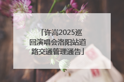 许嵩2025巡回演唱会洛阳站道路交通管理通告