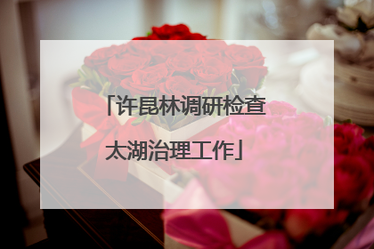 许昆林调研检查太湖治理工作