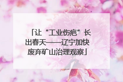 让“工业伤疤”长出春天——辽宁加快废弃矿山治理观察