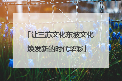 让三苏文化东坡文化焕发新的时代华彩