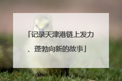 记录天津港链上发力、蓬勃向新的故事