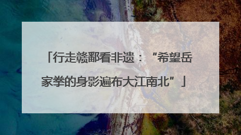 行走赣鄱看非遗：“希望岳家拳的身影遍布大江南北”