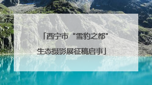 西宁市“雪豹之都”生态摄影展征稿启事